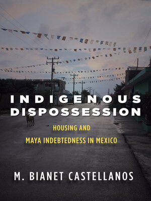 cover image of Indigenous Dispossession